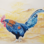 Blue Rooster in the Morning