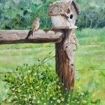 House Hunting, House Finches