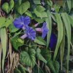 Train Station at Pompeii outside of Naples