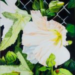 Hollyhock