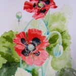 Poppy (SOLD)