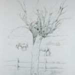 Pruned
