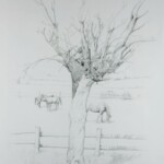 Pruned