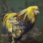 The Rooster called "D'Artagnan