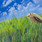 A Summer Day Hare in the grass