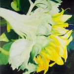 Sunflower 5 (SOLD)